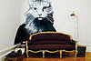 415 couch no blanket-jp
